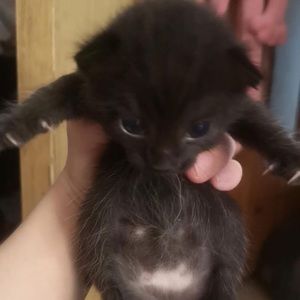 Meet your Posher, Vivi